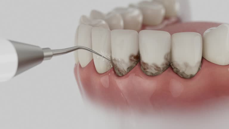 Reliable Dental contractor in Huntington Park, CA by Dentist Open Now